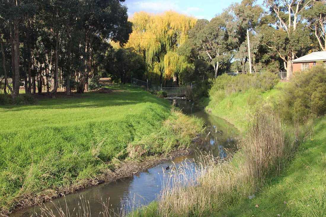 NDIS Support Services in Hadfield - Beyond