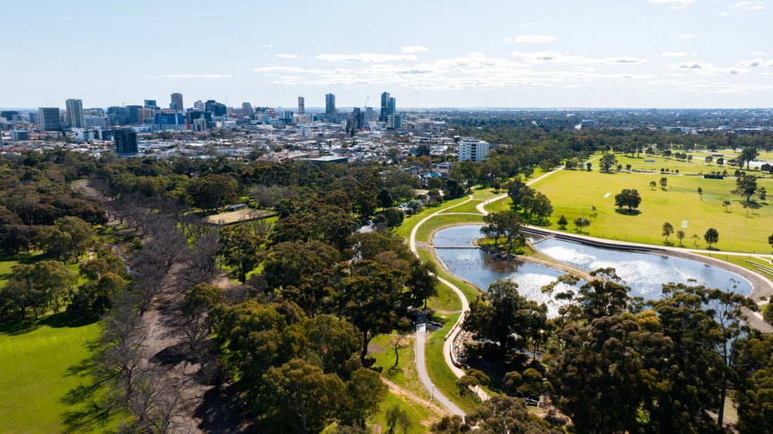 NDIS Support Services in Adelaide