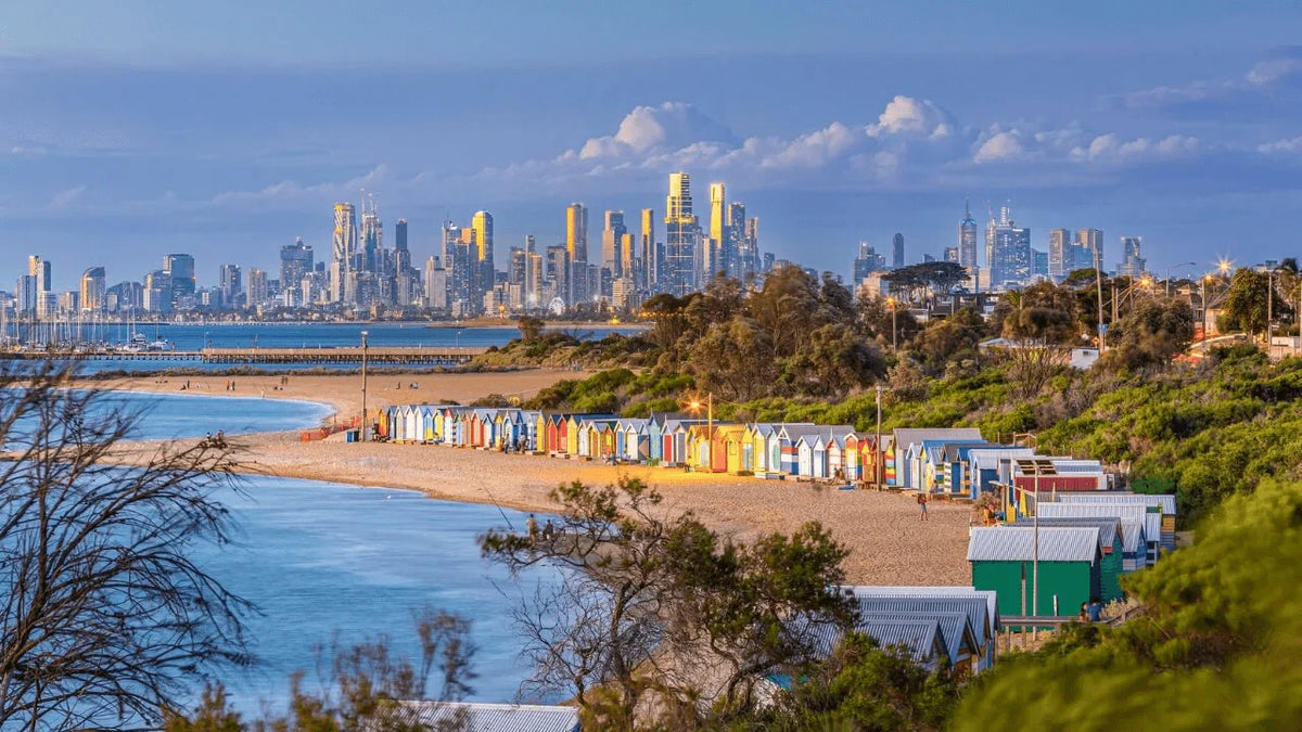 NDIS Support Services in Brighton - Beyond