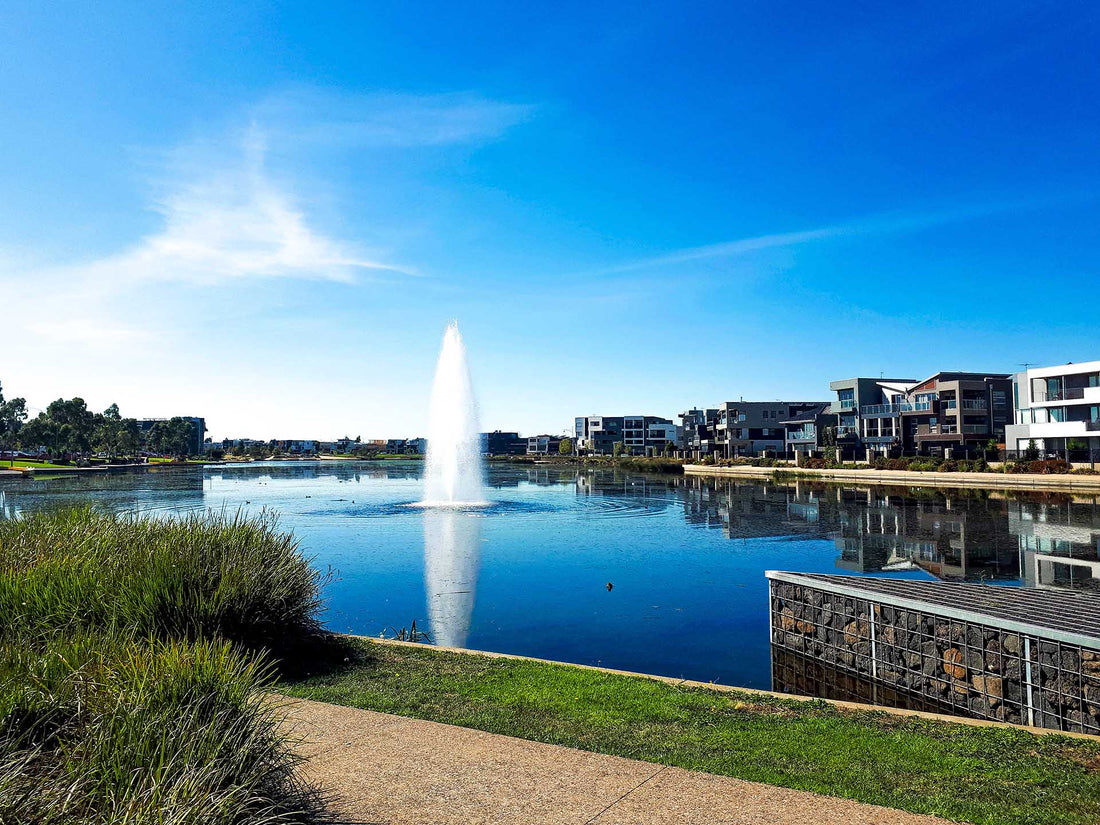 NDIS Support Services in Caroline Springs - Beyond