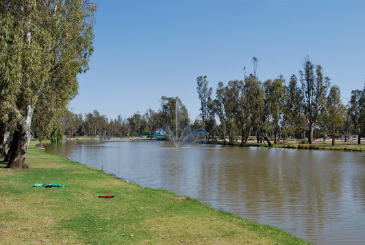 NDIS Support Services in Cohuna - Beyond