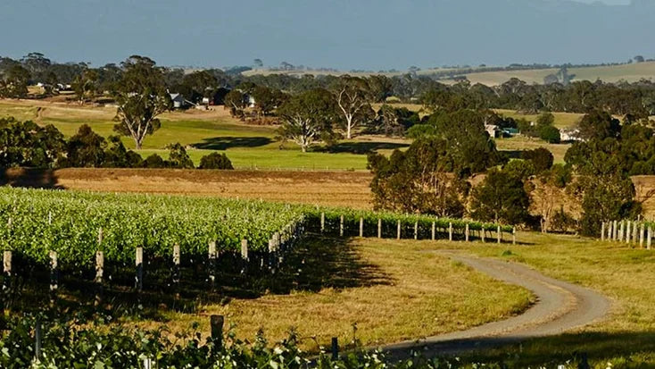 NDIS Support Services in Great Western - Beyond