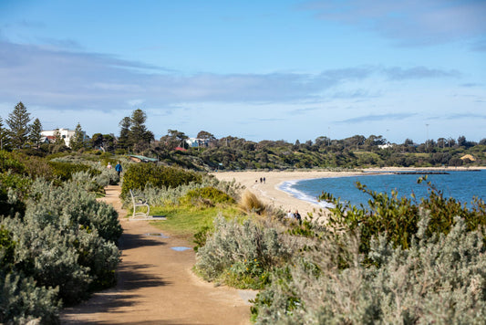 NDIS Support Services in Hampton - Beyond