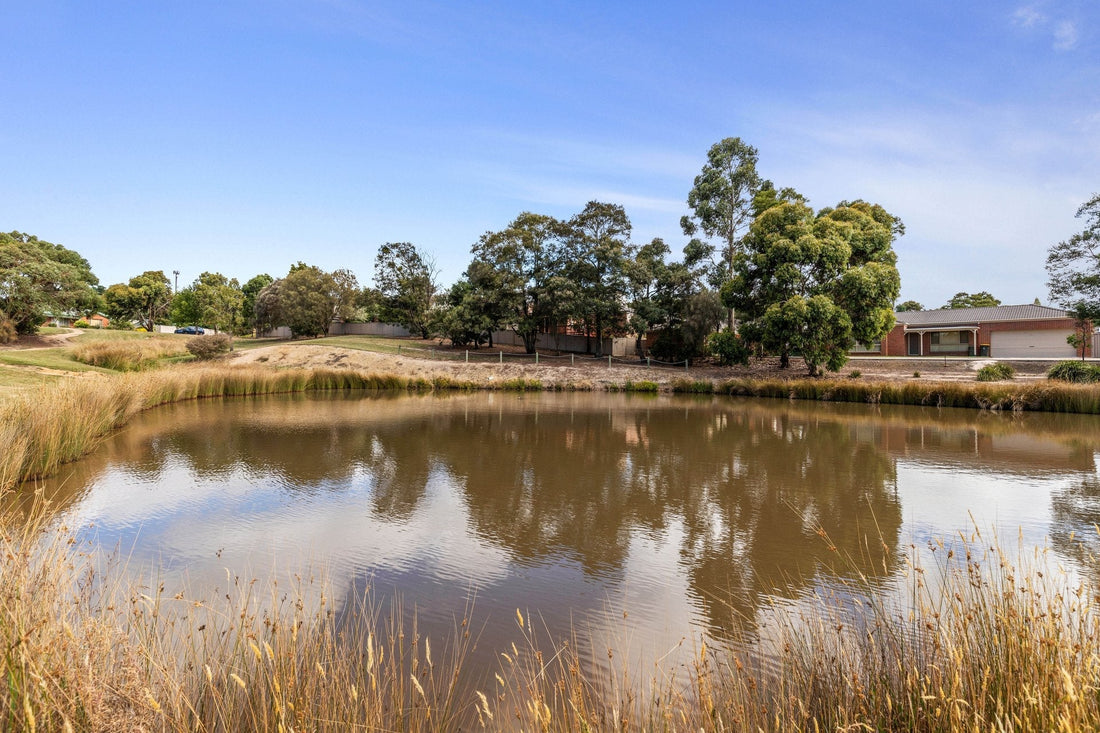 NDIS Support Services in Invermay Park - Beyond