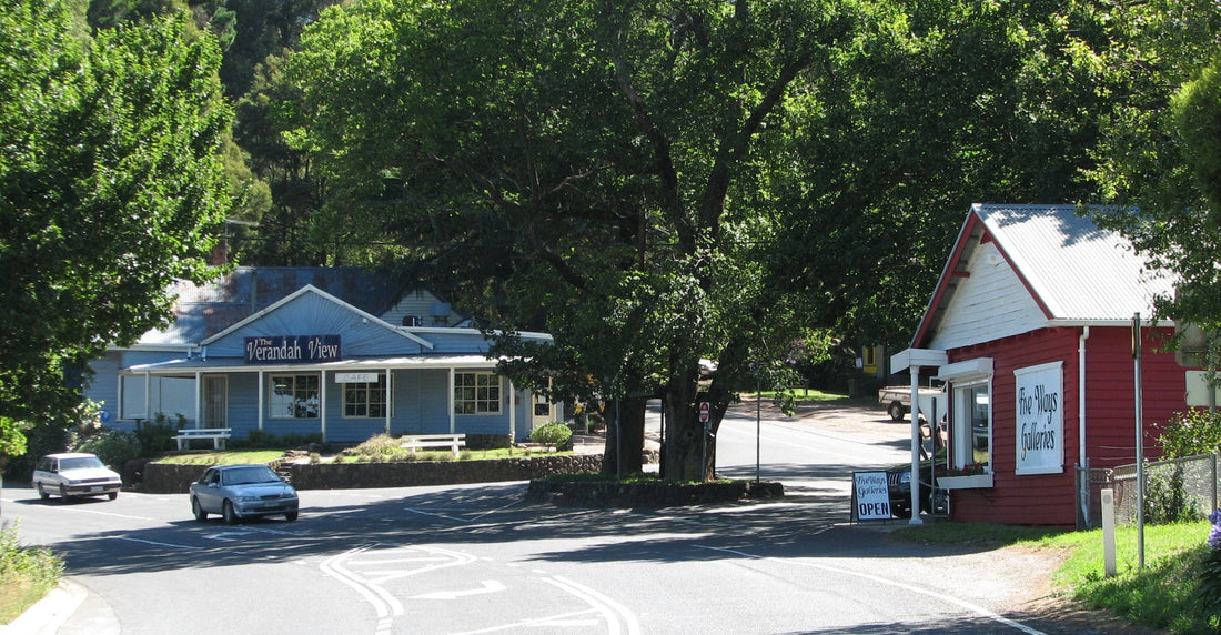 NDIS Support Services in Kalorama - Beyond
