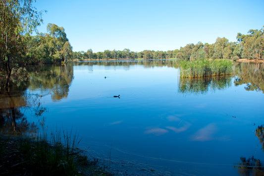 NDIS Support Services in Kennington - Beyond
