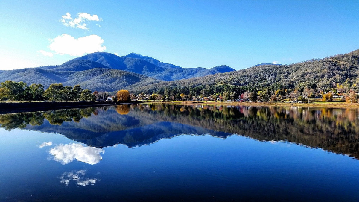 NDIS Support Services in Mount Beauty - Beyond