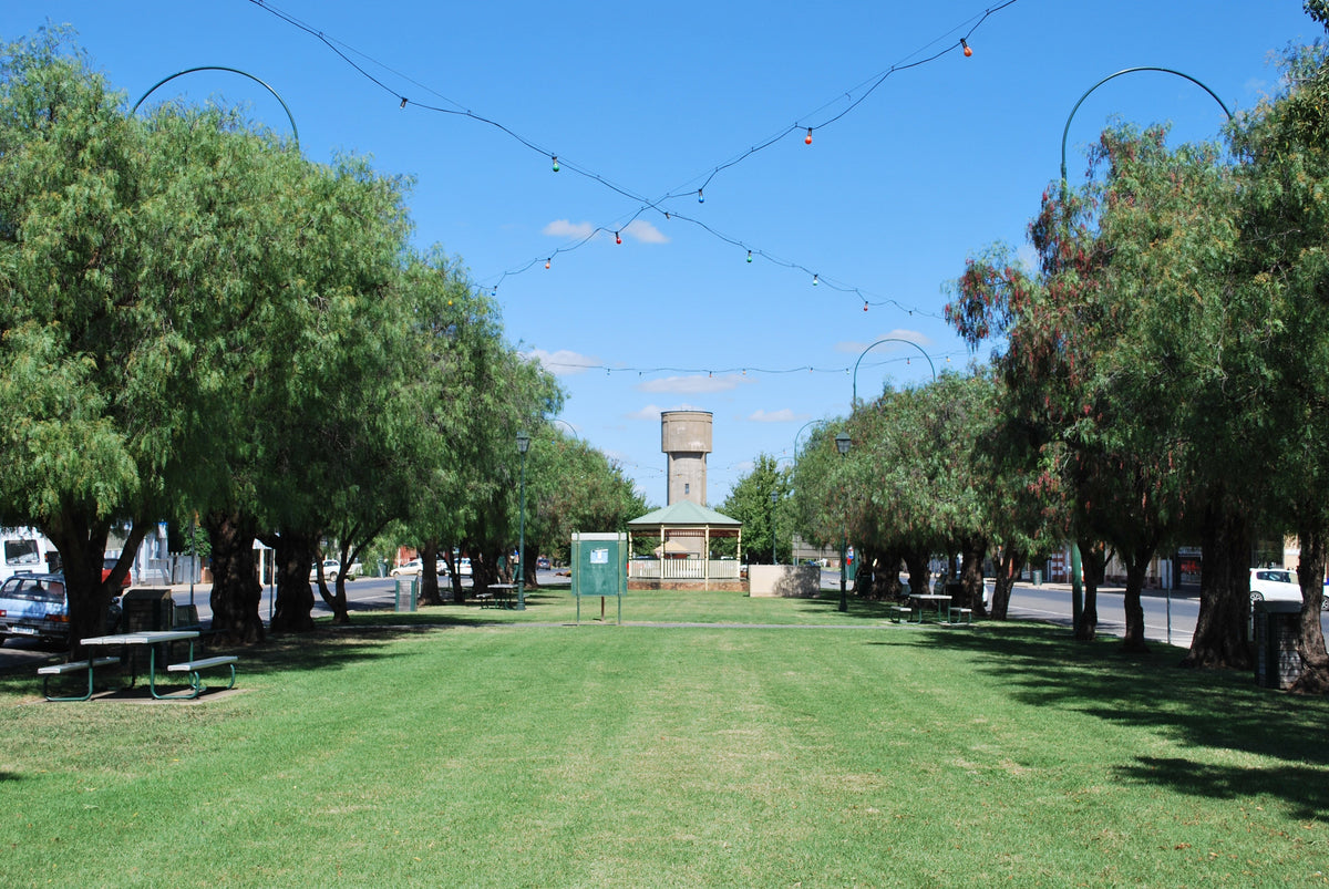 NDIS Support Services in Nathalia - Beyond