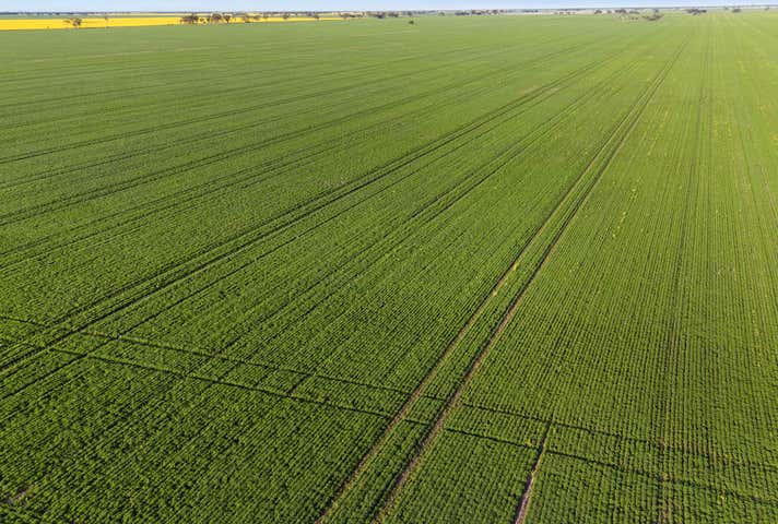 NDIS Support Services in Navarre - Beyond