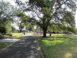 NDIS Support Services in Newport - Beyond