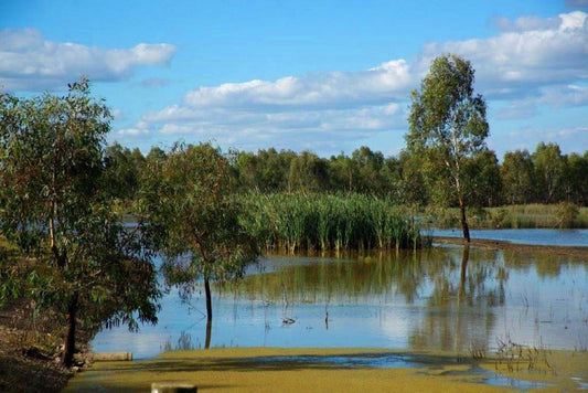NDIS Support Services in Numurkah - Beyond