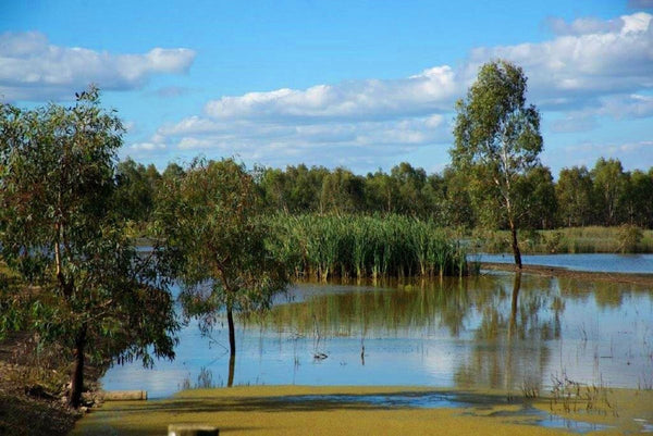 NDIS Support Services in Numurkah - Beyond