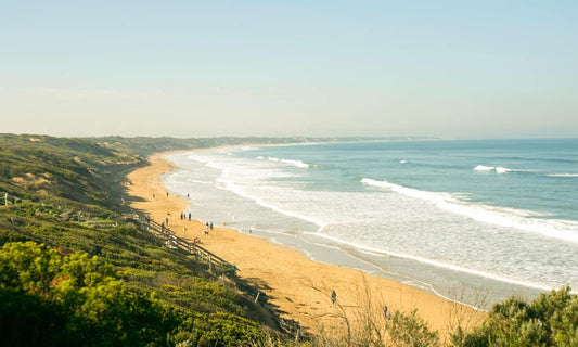 NDIS Support Services in Ocean Grove - Beyond