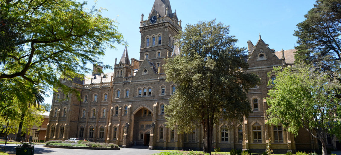 NDIS Support Services in Parkville - Beyond