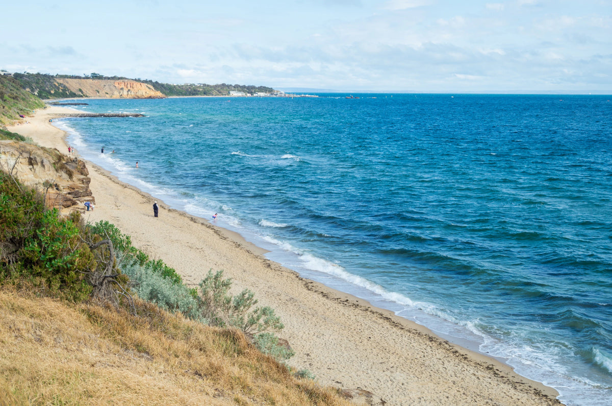 NDIS Support Services in Sandringham - Beyond