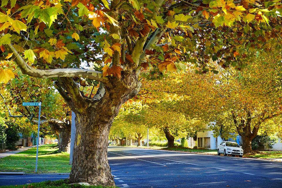 NDIS Support Services in Seymour - Beyond