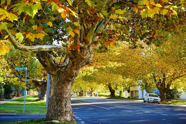 NDIS Support Services in Seymour - Beyond