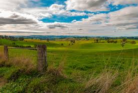 NDIS Support Services in Strzelecki - Beyond