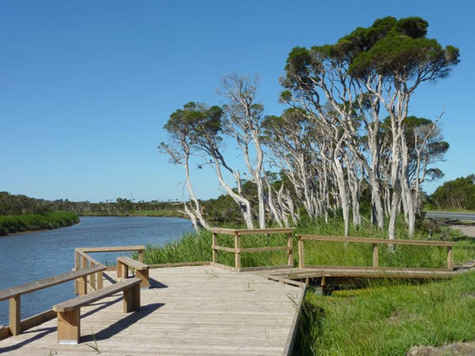 NDIS Support Services in Tarwin Lower - Beyond