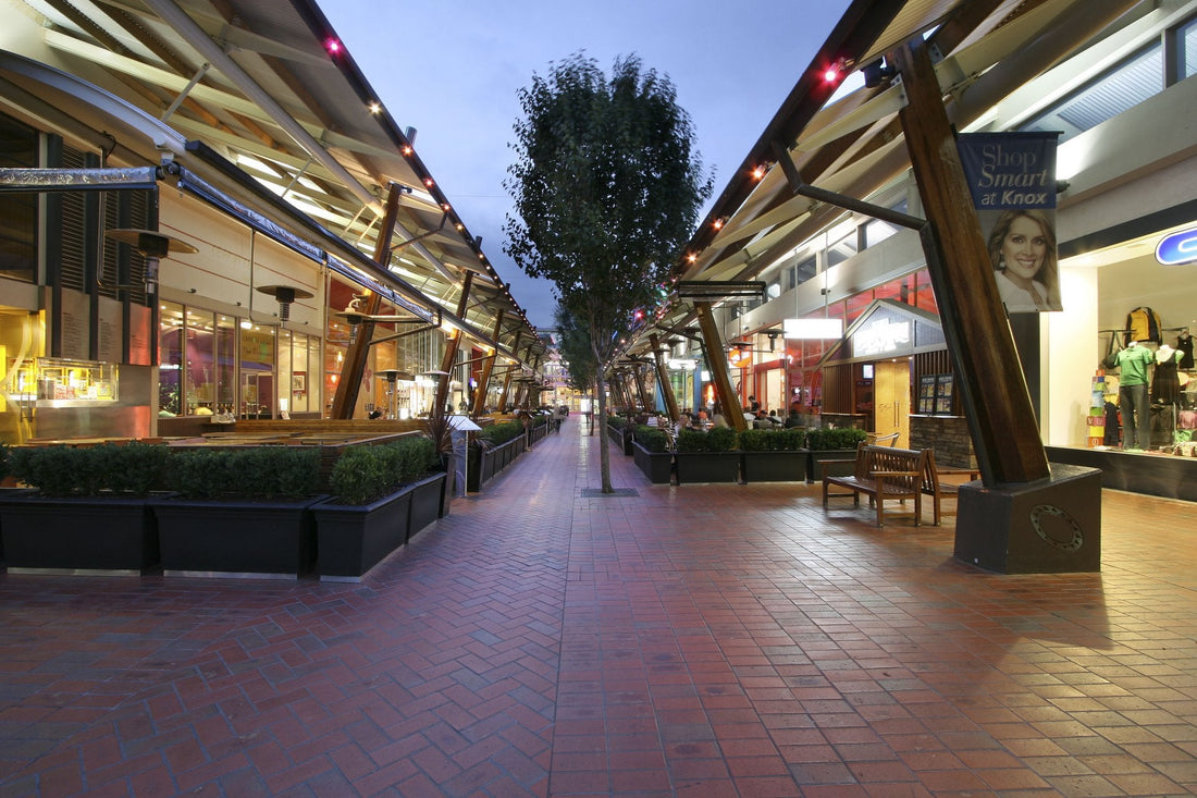 NDIS Support Services in Wantirna - Beyond