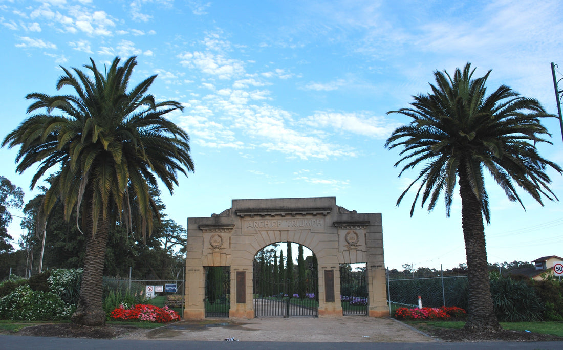 NDIS Support Services in White Hills - Beyond