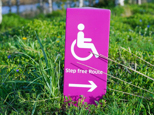 Pyroluria and the NDIS - Beyond