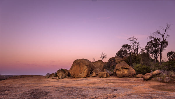 Australind