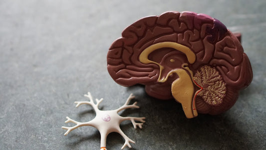 Frontal Lobe Disorders and the NDIS - Beyond