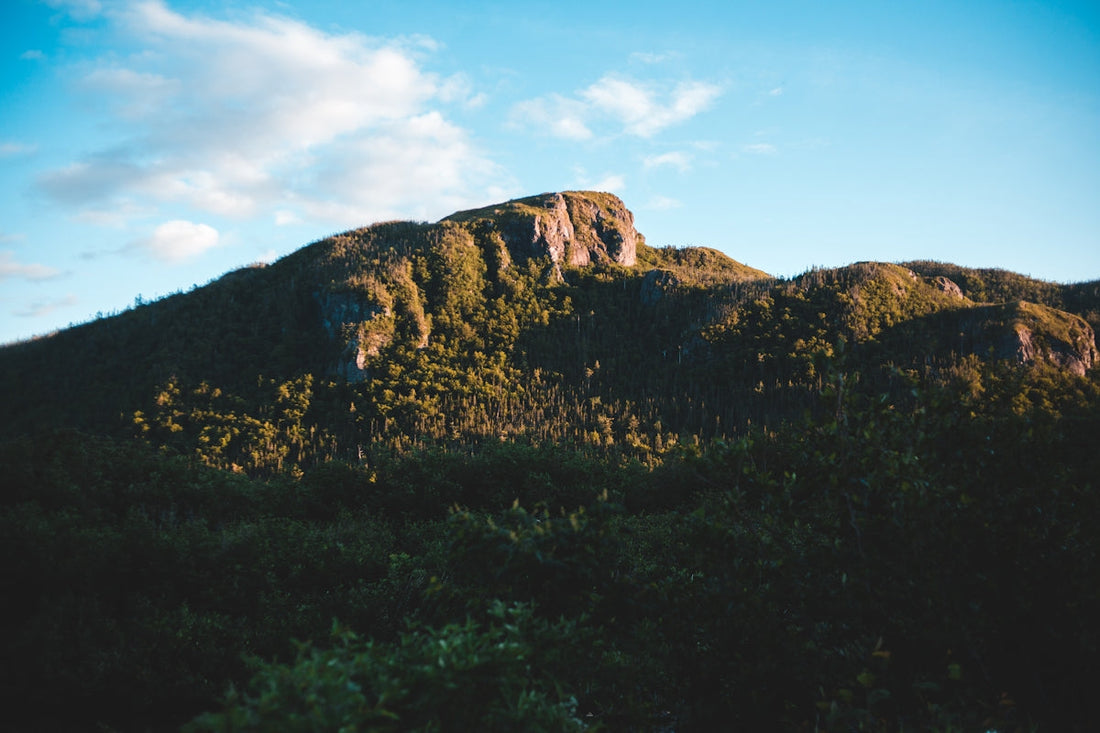 green and brown mountain under blue sky during daytime