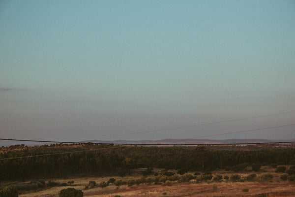 Bordertown