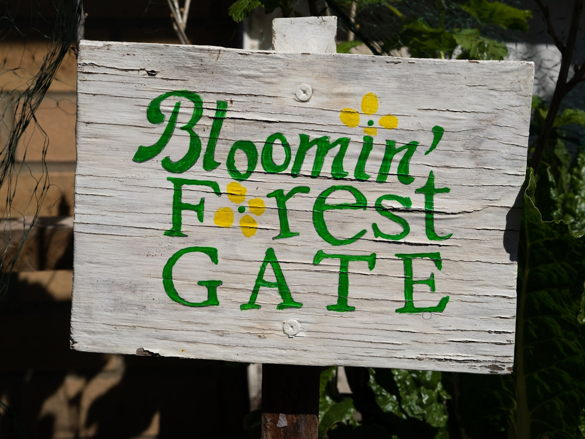 green and white wooden signage