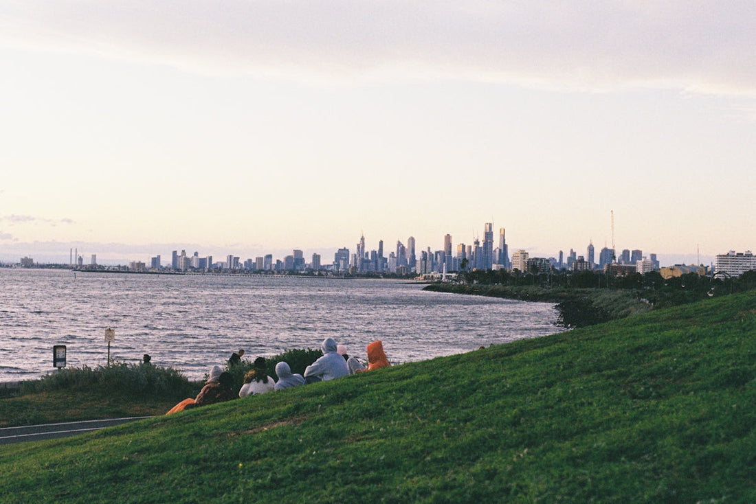 a group of people sitting on top of a lush green hillside