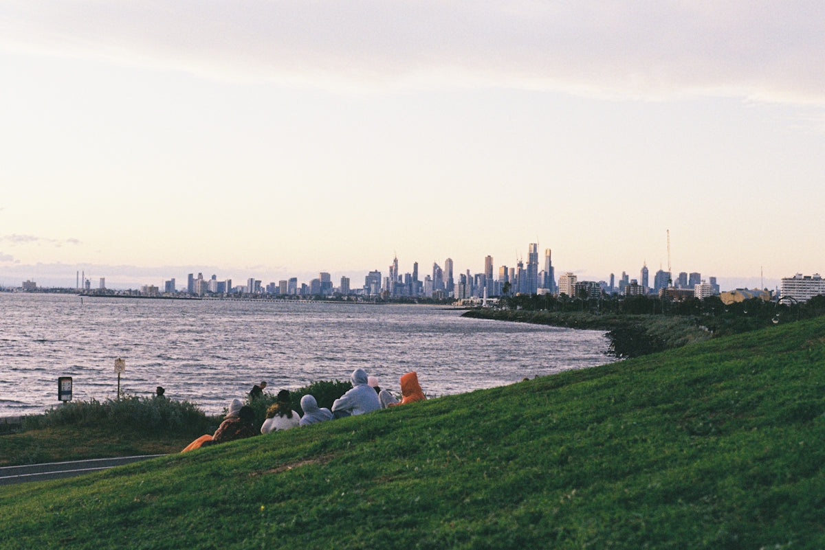 a group of people sitting on top of a lush green hillside