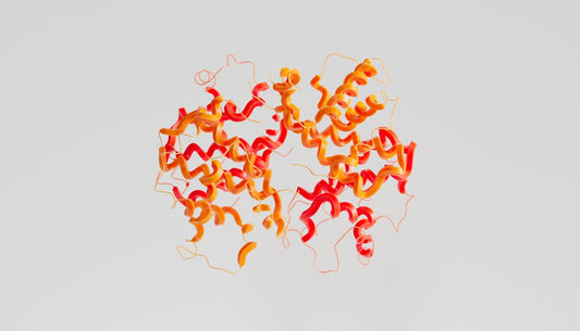 a group of orange and red objects floating in the air