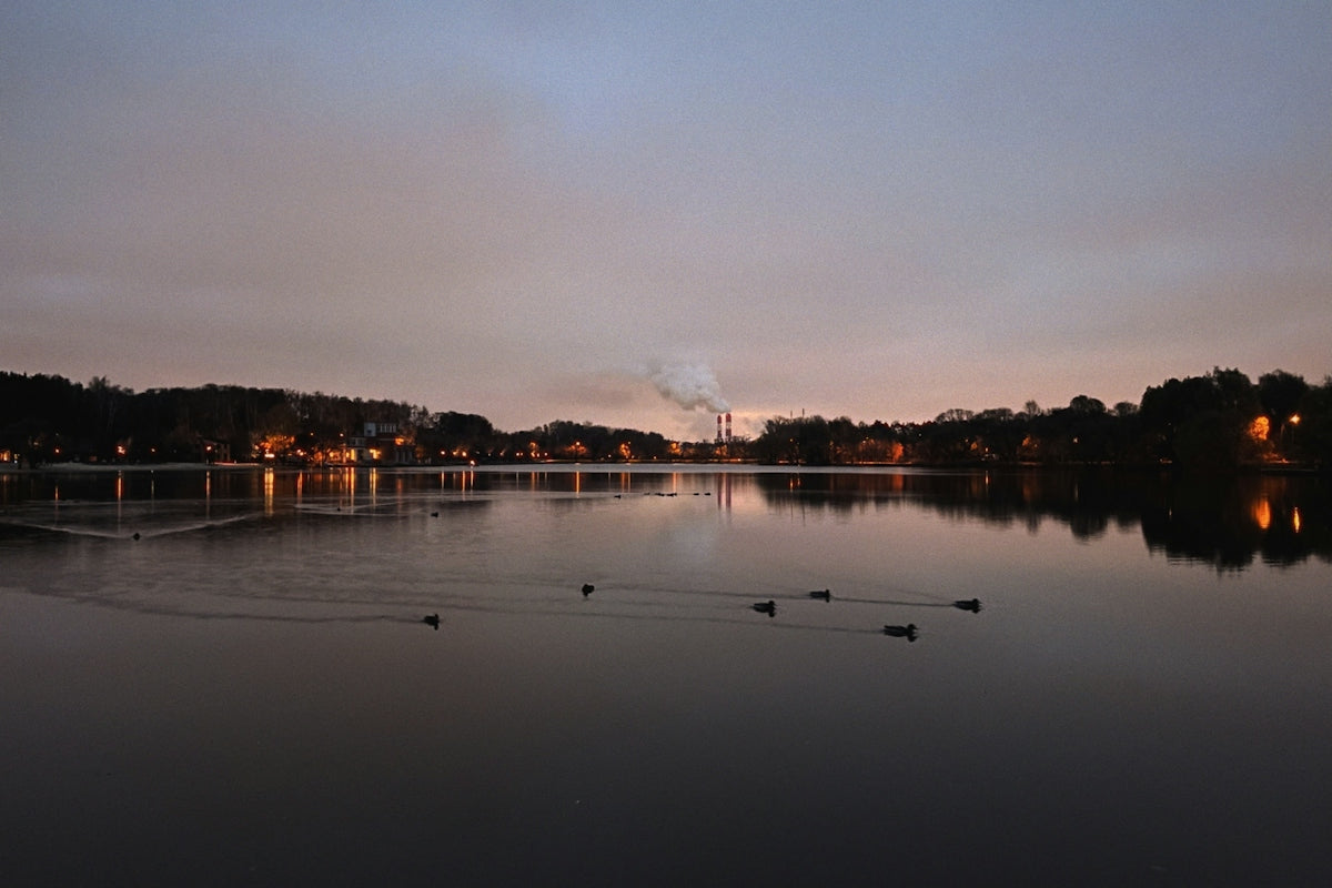 a body of water with trees and buildings in the background