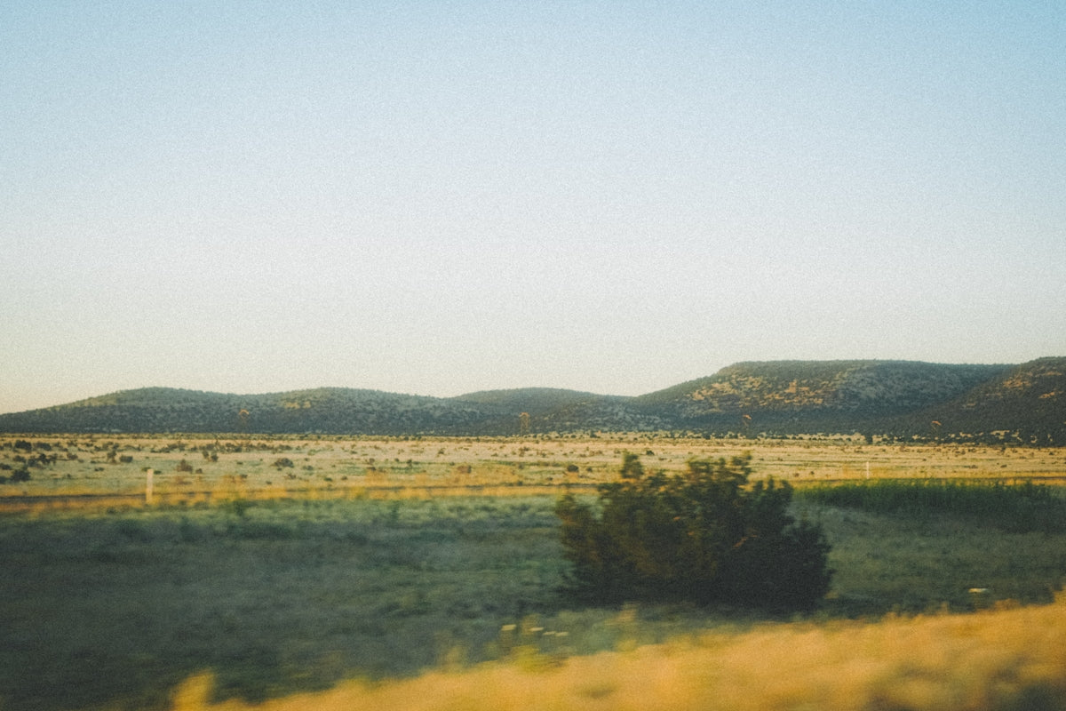 a grassy field with mountains in the distance