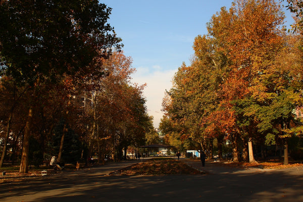 Northcote