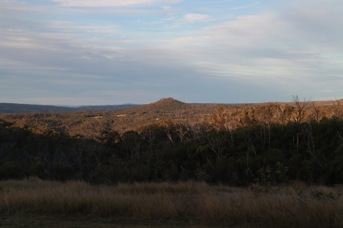 A view of a field with a hill in the background