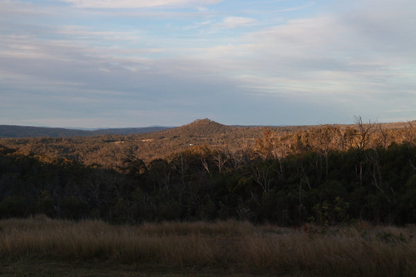 Naracoorte