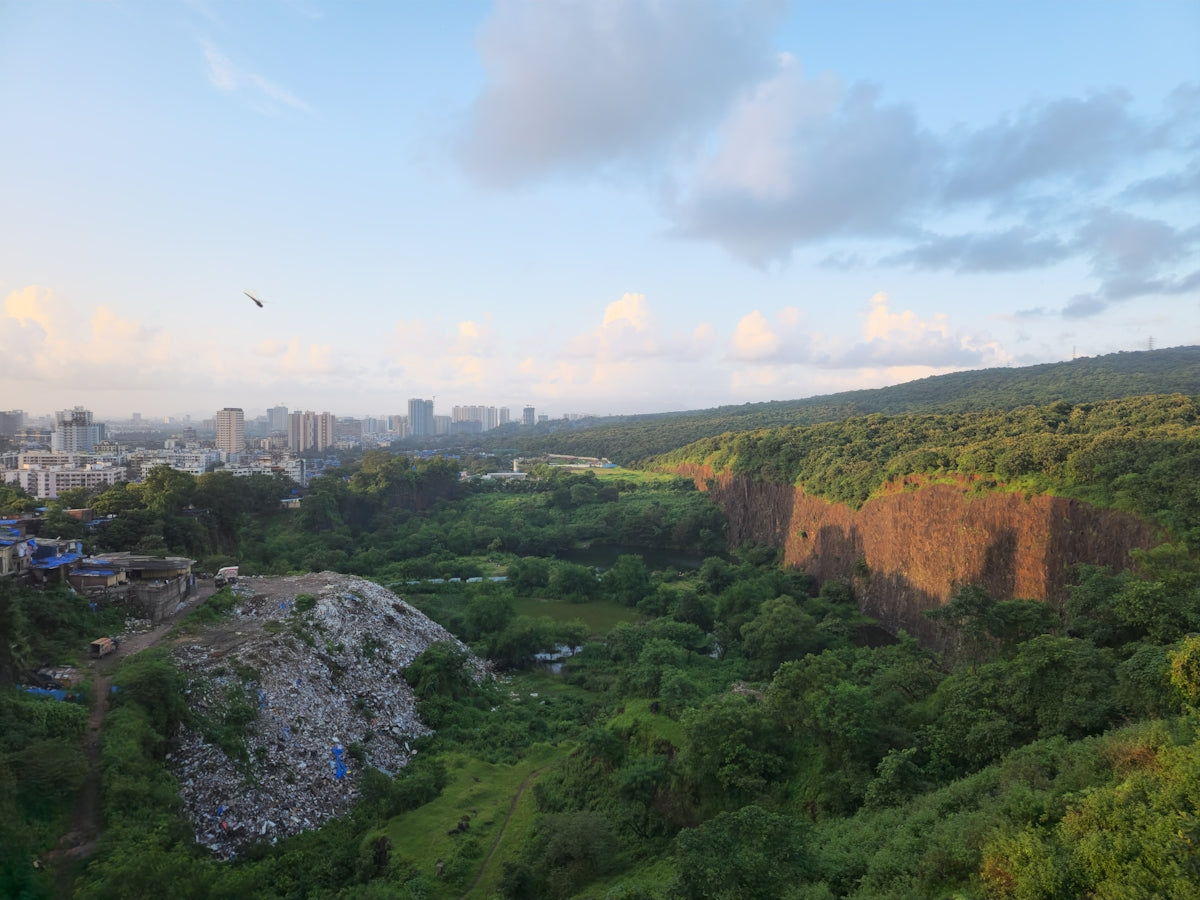 A view of a lush green hillside with a city in the distance