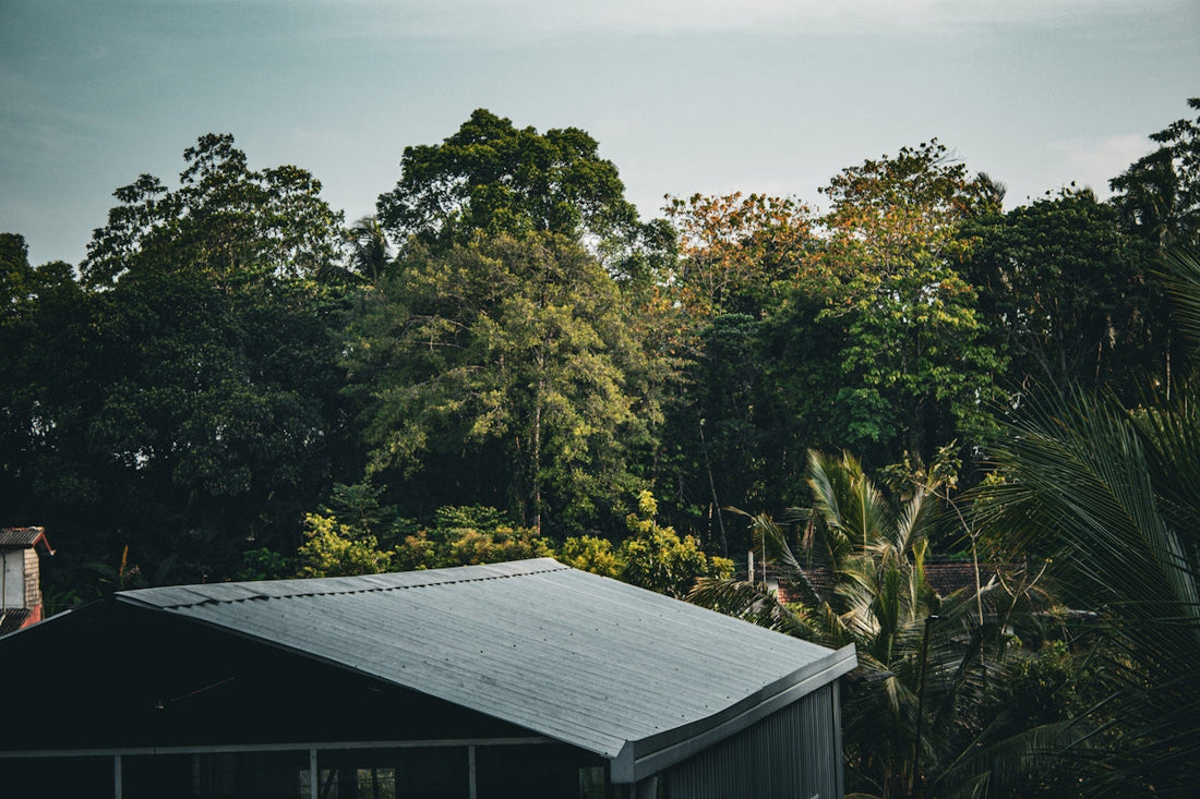 Green trees and a rooftop on a cloudy day.