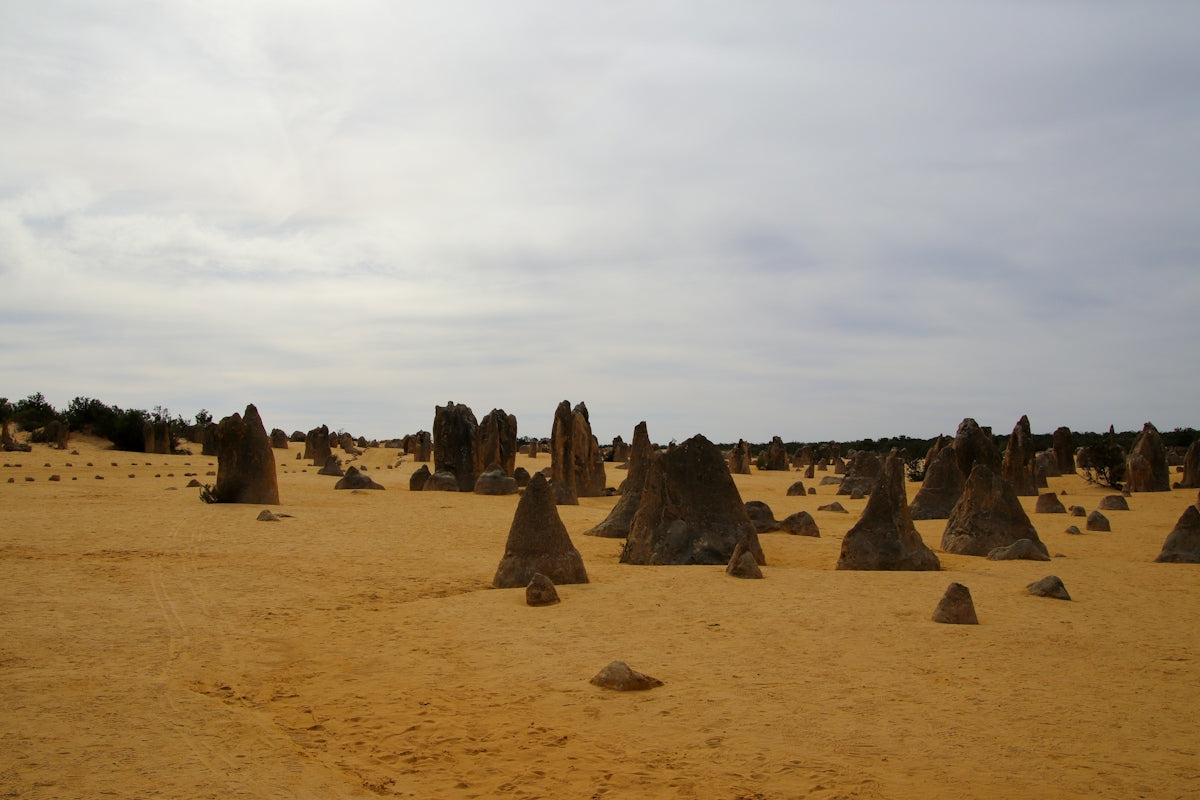 Unique rock formations dot a sandy landscape