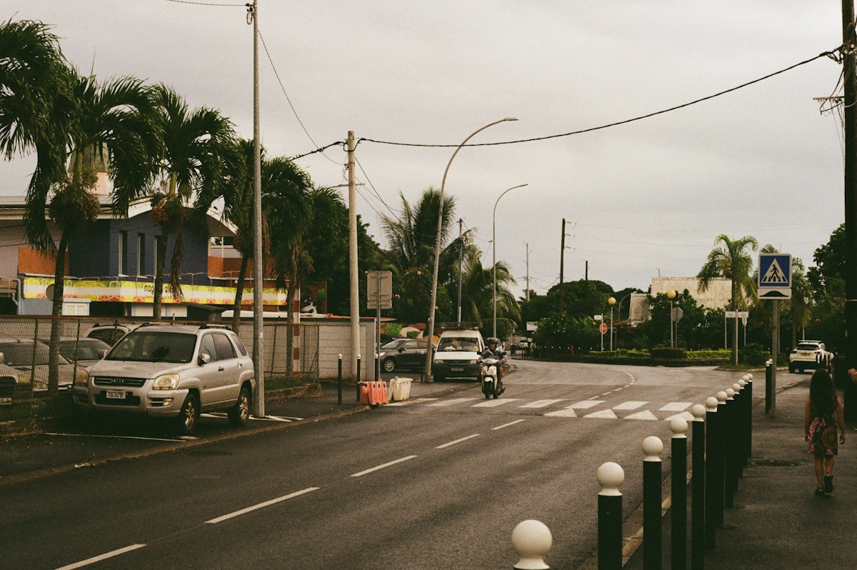 A street view with cars and palm trees.