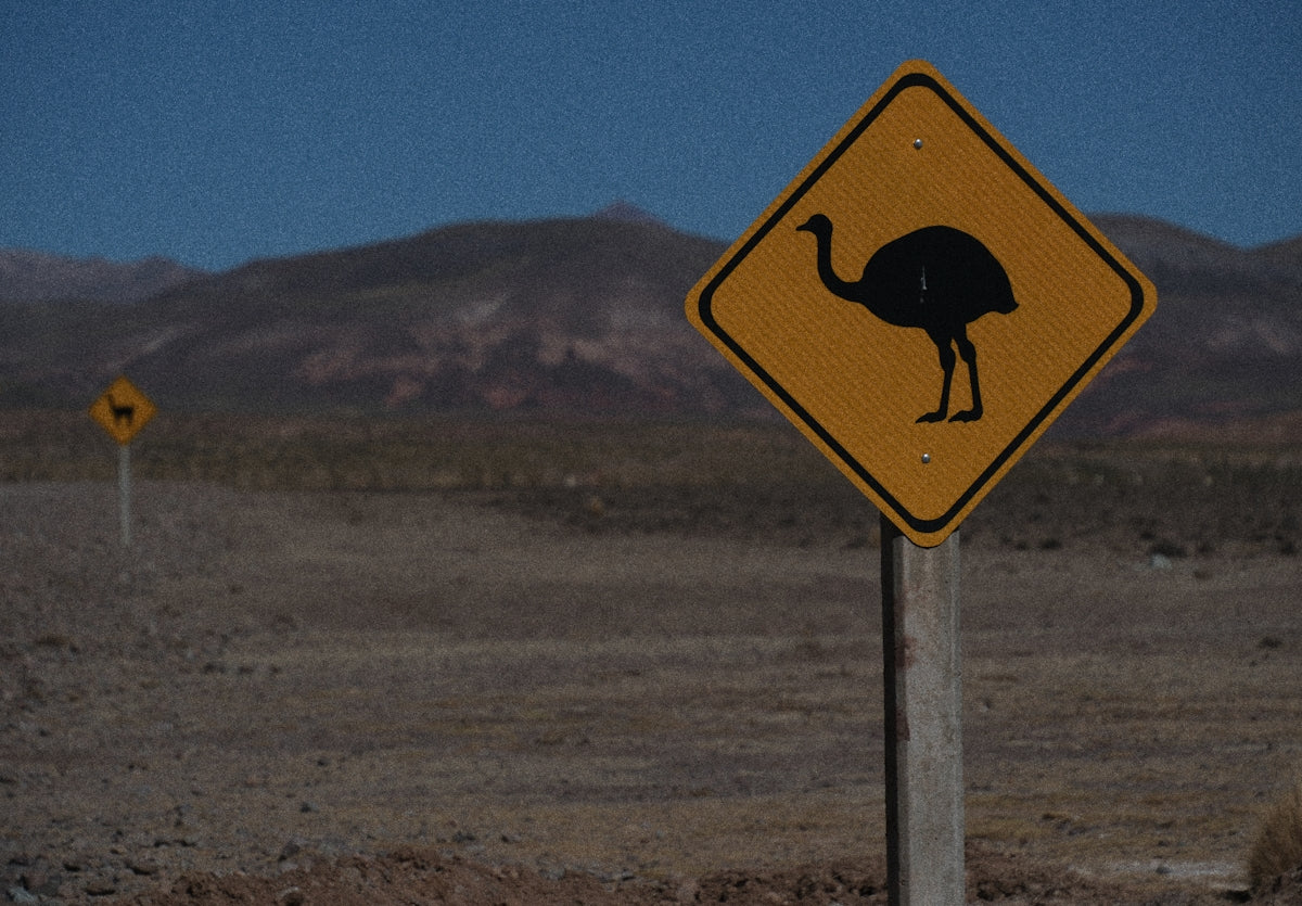 Yellow warning sign with ostrich silhouette