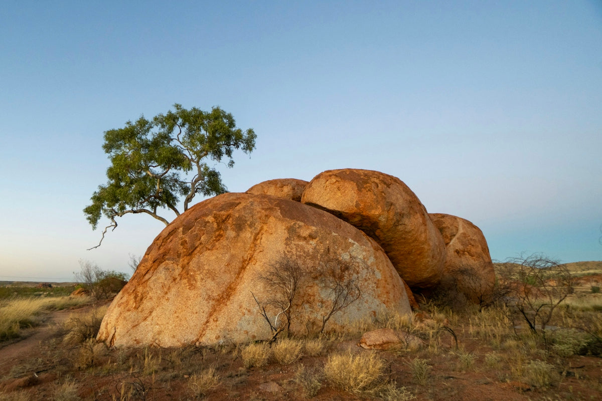 Large rounded boulders with a lone tree in arid landscape