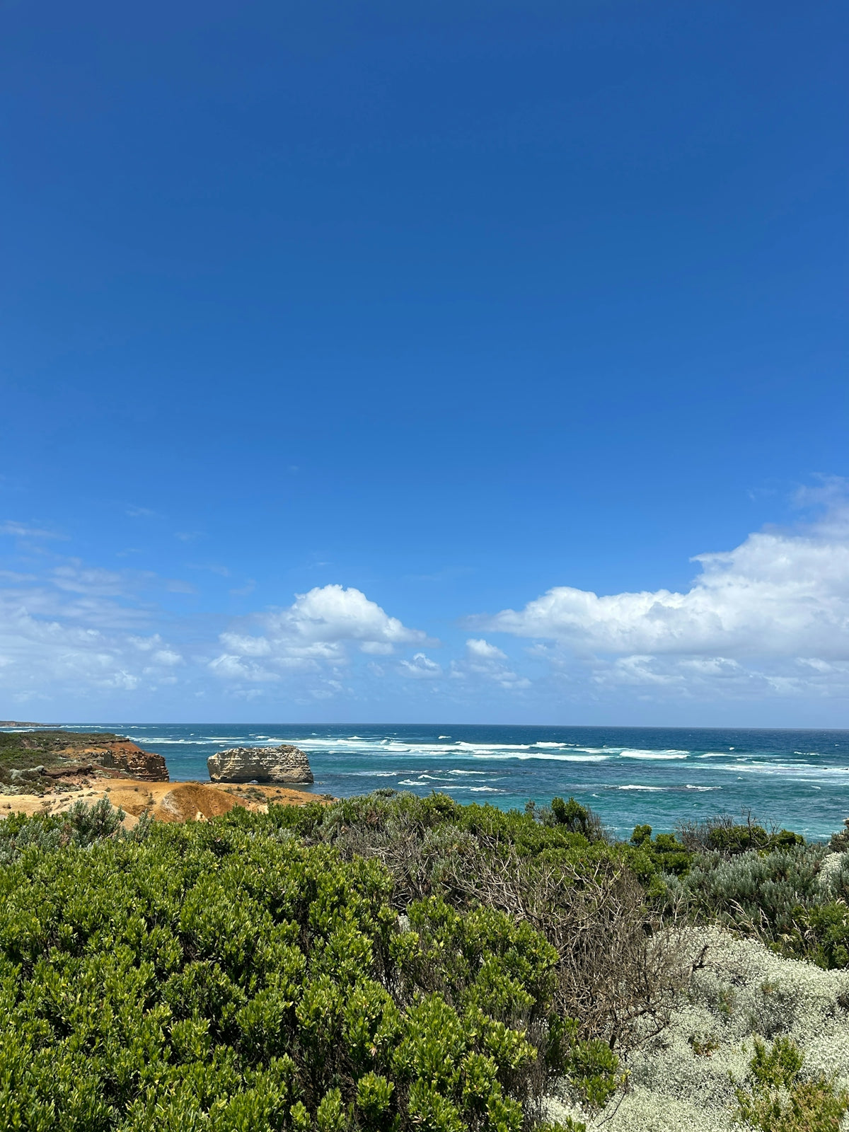 Coastal landscape with green bushes and blue ocean