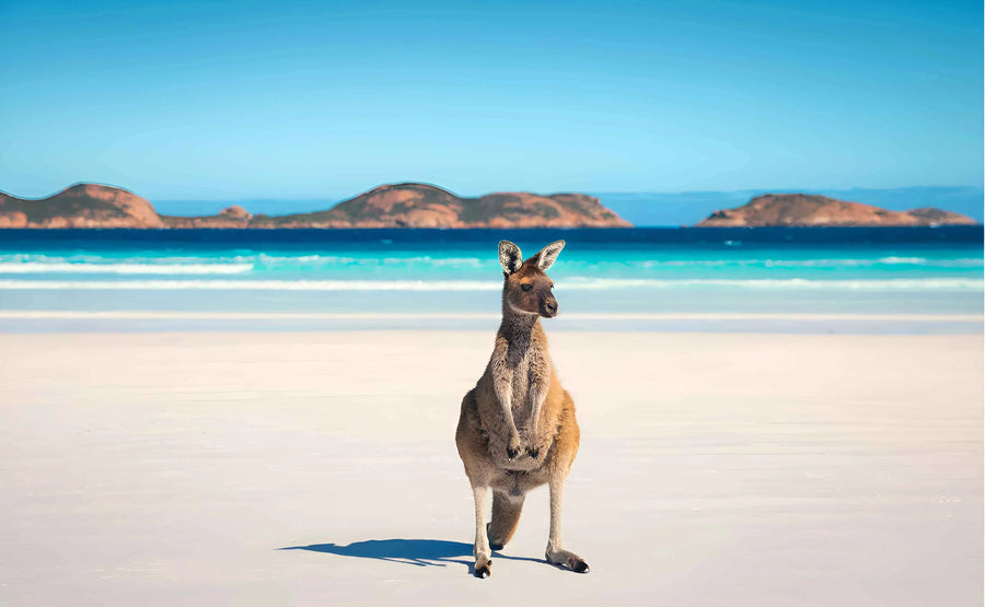 Western Australia (WA)