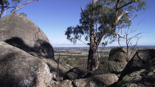NDIS Support Services in Black Hill - Beyond
