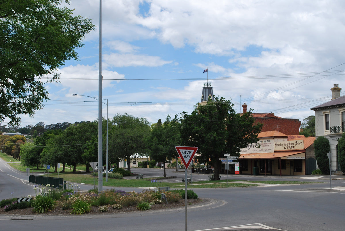 NDIS Support Services in Buninyong - Beyond