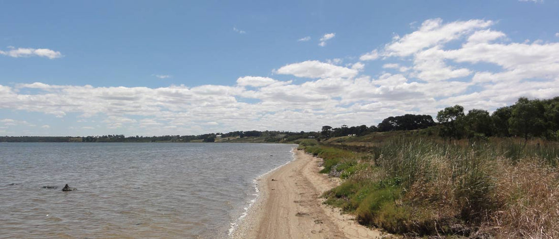NDIS Support Services in Connewarre - Beyond
